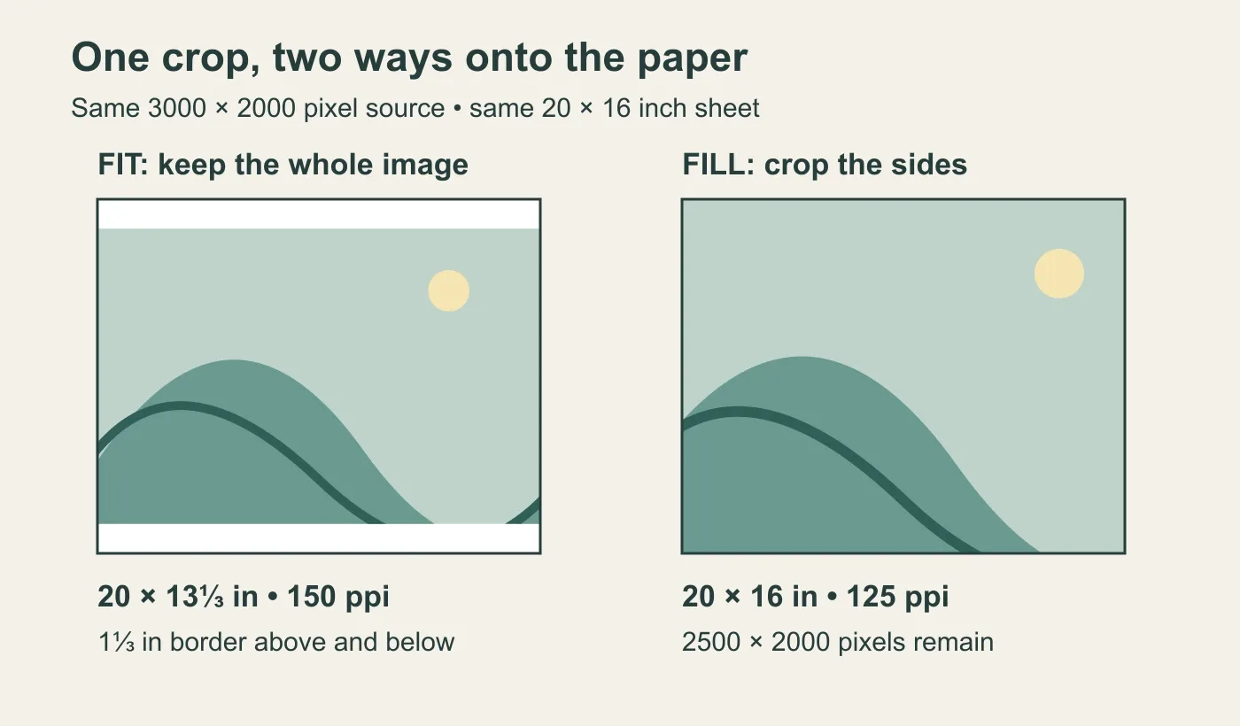 The same rectangular image fitted with borders or cropped to fill a 20 by 16 inch print area